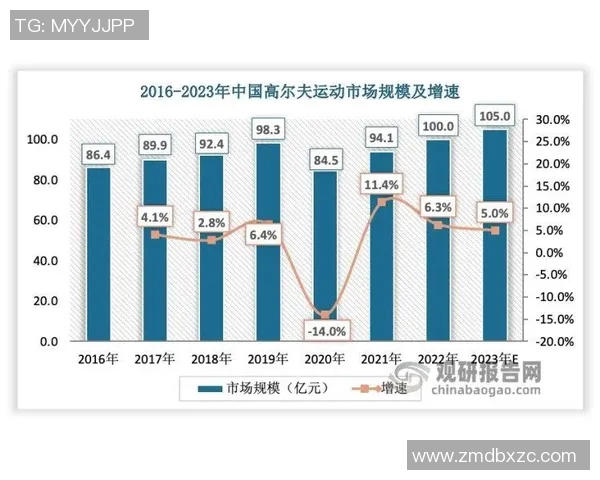 南京羽毛球队的训练节奏与战术解析深度探讨